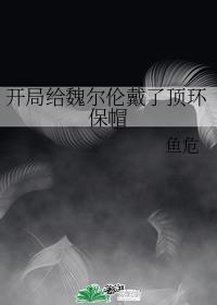 开局给魏尔伦戴了顶环保帽顶点