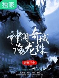神澜奇域海龙珠内容简介
