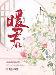 暖君锅炉