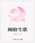 顾盼一生简介