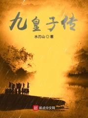 九皇子传笔趣阁TXT