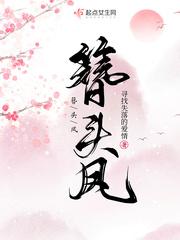 簪头凤 百度txt