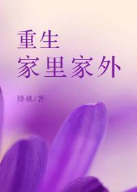 重生家里家外的