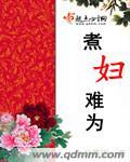煮妇也疯狂恩怨了了视频