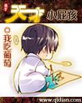 天才小d