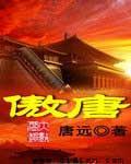 傲唐集团有限公司石家庄分公司