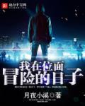 我在位面贴标签免费阅读