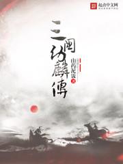 三国幼麟传全本TXT电子书