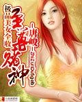至尊赌神希小坏全文免费阅读
