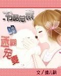 冷酷总裁迷糊小佣人