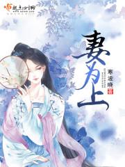 妻为上中景琛和淮南王扩写