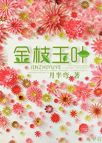 金枝玉叶用什么土养最好