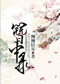 簪中录主要讲什么