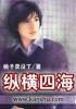 纵横四海粤语完整版