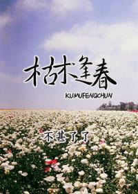 枯木逢春命格解释