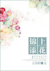 锦上添花的意思