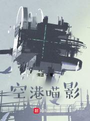 空港喵影讲的是什么