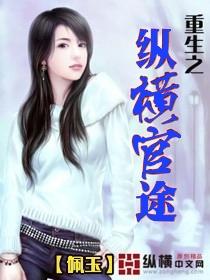 重生纵横官场