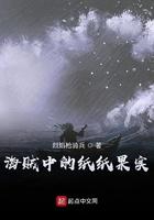 海贼中的纸纸果实TXT
