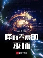 降临美漫的巫师 聚合中文网