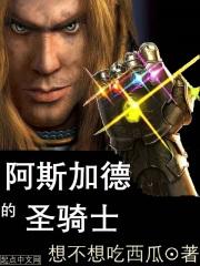 阿斯加德的圣骑士简介
