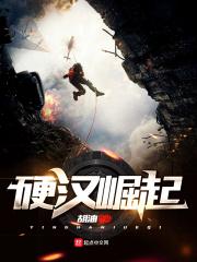 硬汉剧情详细
