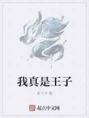 真的是王子哟