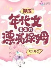 穿成年代文男主的漂亮保姆一样好看的文