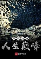 开局站在人生巅峰起点中文网