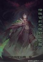 指挥官的无限打工之旅txt