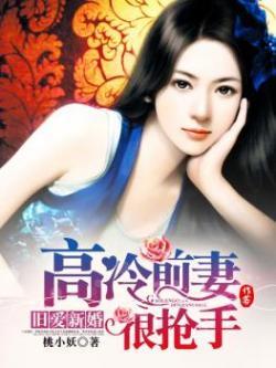 新婚旧爱二手前妻不打折免费阅读