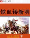 铁血铸新明八零电子书