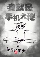 我就是手机大佬 第194章