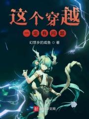 这个穿越是怎么一回事