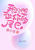 我只想做你的太阳下一句是什么