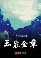 玉宸金章起点