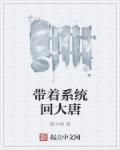 带着系统回大唐的有没有帮忙查询几个