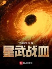 星武战甲顶点