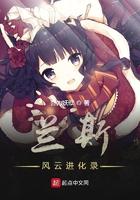 兰斯全系列攻略