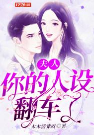 夫人你又翻车了免费阅读全文无广告