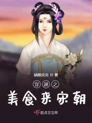 穿越架空宋朝美食女频文