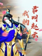 夫君赵云