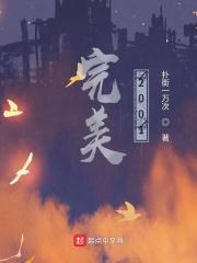完美20013错误