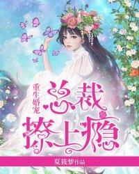 重生婚宠总裁夫人暖又甜
