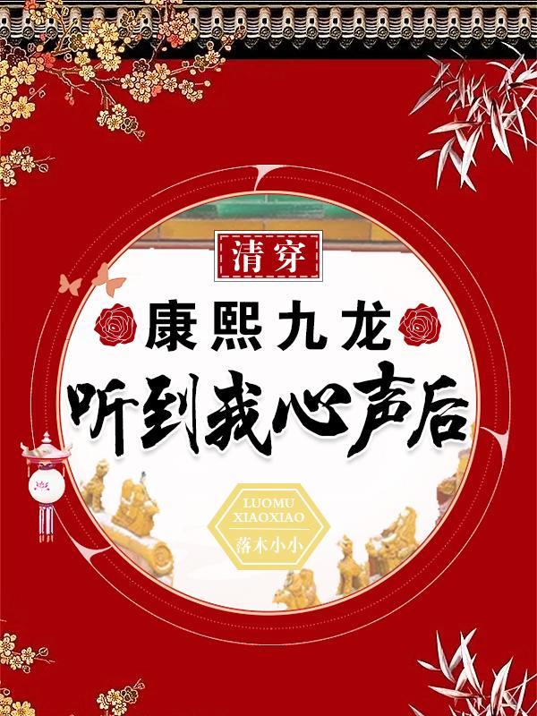 穿越康熙九龙夺嫡的