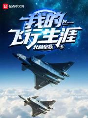 我的飞行回顾