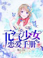 元气少女恋爱手册类似的