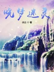 晓梦迷蝶完结