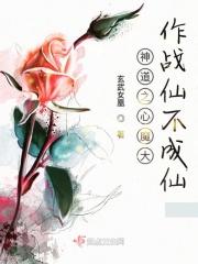 神仙道神魔之井9是几级