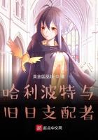 新旧哈利波特对比